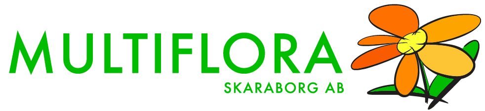 logo.png